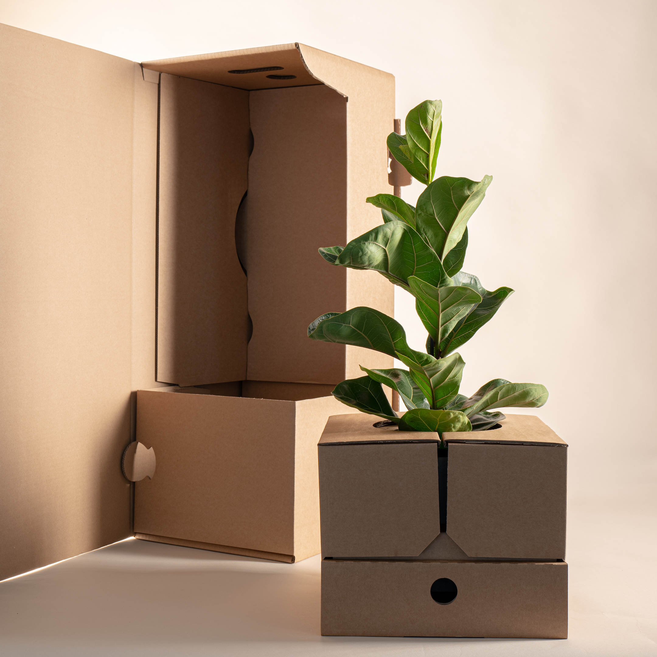 https://www.modelgroup.com/content/dam/modelgroup/global/inspiration-hub/mary-and-plants/Verpackung%20S_M%20Unboxing%201_1%206.jpg